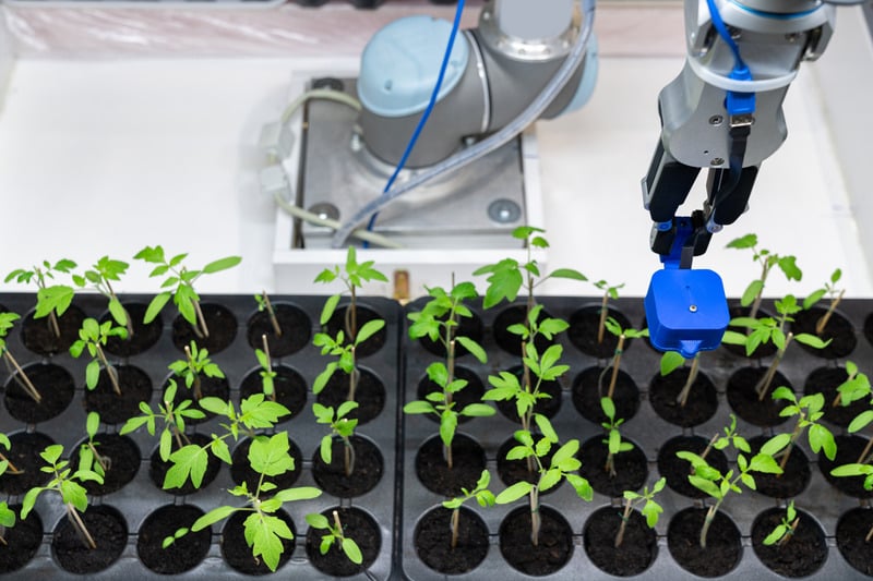 a robotic arm is working on plants in trays